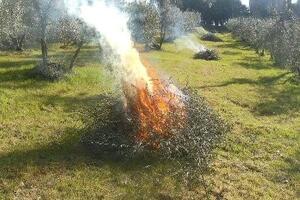 Seravezza: scatta il periodo a rischio di incendi boschivi, la Regione ne anticipa l'inizio al 13 giugno