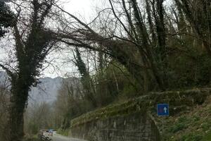 Vezzoni: "SP 42 per Stazzema è davvero una provinciale?"
