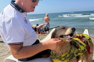 Baby Watch a Forte dei Marmi: successo per la giornata dedicata ai più piccoli tra sicurezza, mare e divertimento