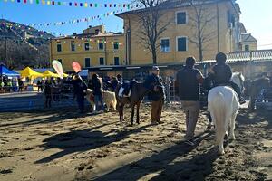 Cresce la fiera di San Biagio a Pietrasanta