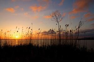 Domenica 2 febbraio si festeggia in tutto il mondo la World Wetlands Day, la Giornata internazionale dedicata alle zone umide