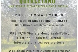 Slow Food "Terre Medicee e Apuane": Vent'anni di olivo Quercetano