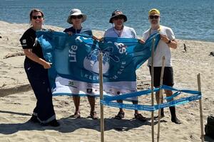 Tartarughe marine: primo nido di Caretta caretta documentato nella Tenuta di San Rossore e primo della Toscana nel 2026