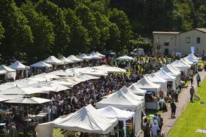 Enolia 2026: il gusto come esperienza culturale, Seravezza 9-10-11 maggio