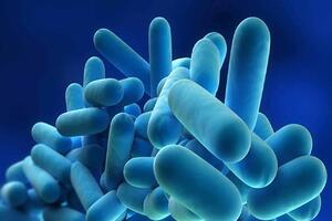 Rischio legionella: un corso per le imprese organizzato da Cna