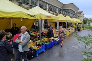 Mercato agricolo di Querceta: nuovo spazio in piazza Matteotti da giovedì 5 giugno