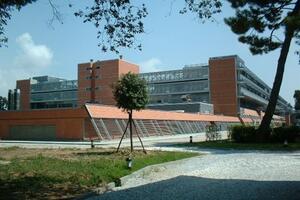 Grazie al Pronto soccorso dell’ospedale Versilia
