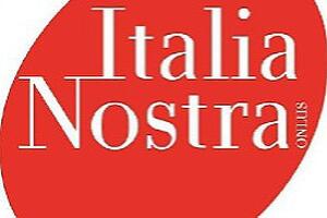 "La cura del pino di Sant'Andrea": la riflessione di Claudio Grandi di Italia Nostra Versilia
