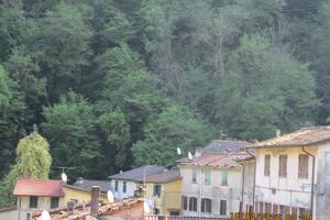 La Torre di Carbonaia avvolta dalla rosa di Lady Bank, antica pianta presente nel luogo