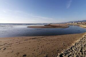 Foce del fiume di Camaiore o fossa dell'Abate. Italia Nostra Versilia: "Vigileremo perché non venga modificata né ostruita"