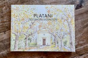 Uscito “Platani. Testimoni silenziosi”, libro curato da Angela Benincasa per Associazione Per Sant’Anna