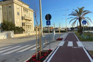 Le tamerici rinnovano il viale Pistelli sul lungomare a Camaiore