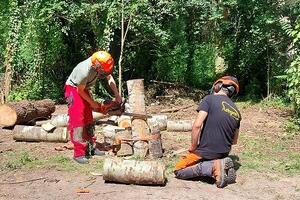 Cultura della sicurezza, corso del Don Lazzeri-Stagi con il Comune