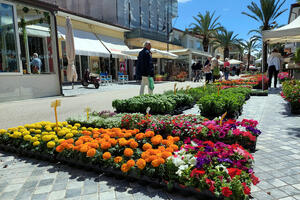 Marina in Fiore, domande entro il 15 aprile