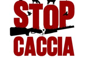 Firme contro la caccia al via anche a Massarosa, Forte dei Marmi, Camaiore e Seravezza.