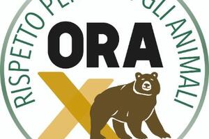 Raccolta firme Referendum contro la caccia presso il Comune di Viareggio