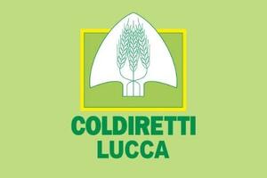Giovani in agricoltura: Coldiretti Lucca, 250 potenziali candidati per premio Oscar Green. Iscrizioni entro il 29 giugno