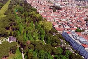 Degrado sociale e ambientale sotto una facciata posticcia: le associazioni ambientali segnalano la situazione di abbandono delle pinete di Viareggio
