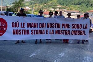 Italia Nostra Versilia: Sit-in sabato 1 agosto a difesa dei pini di Viareggio
