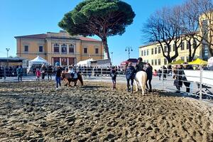 Pietrasanta in festa per San Biagio