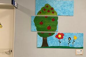 Installati pannelli artistici nella sede della Neuropsichiatria infantile della Versilia
