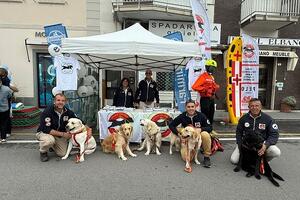 "Associamo il Forte 2025": una domenica di partecipazione e condivisione per Forte dei Marmi