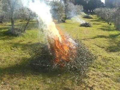 Seravezza: Proroga periodo a rischio incendi