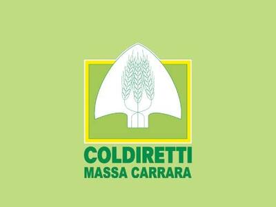 Coldiretti Massa Carrara: “Quanti premi per vini e formaggi eroici apuo-versiliesi”