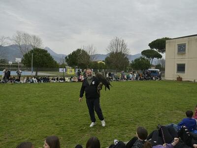 "I Rapaci delle rupi di Porta" primo appuntamento con i piccoli studenti delle scuole primarie a Forte dei Marmi