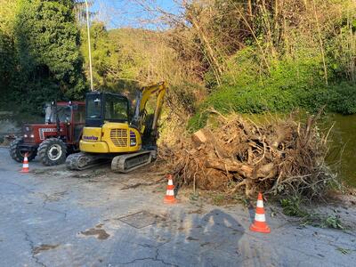 Consorzio di Bonifica 1 Toscana Nord: Intervento in località Strettoia a Pietrasanta. Rimossi 15 alberi caduti in alveo
