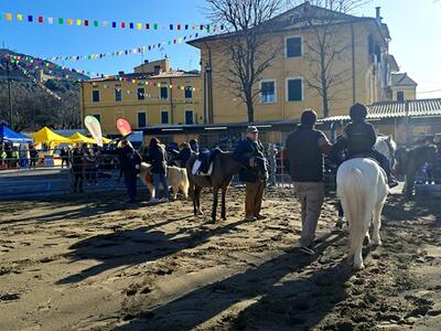 Cresce la fiera di San Biagio a Pietrasanta