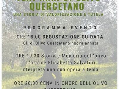 Slow Food "Terre Medicee e Apuane": Vent'anni di olivo Quercetano