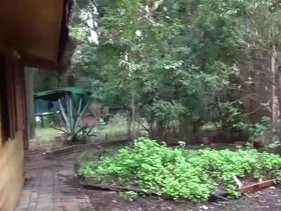 Gestione dell'ex bocciodromo di Viareggio affidata ad una associazione di Scientology: la segnalazione di Italia Nostra Versilia