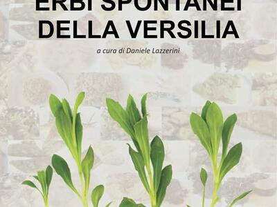 Al Caffè della Versiliana gli "Erbi spontanei della Versilia": due libri tra natura, tradizione e solidarietà per i bambini dell'Ospedale del Cuore, domenica 12 luglio