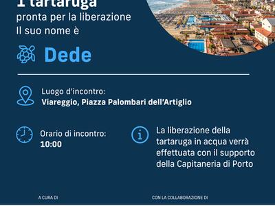 A Viareggio domenica 14 giugno l’Italian Turtle Day, Plastic Free promuove la liberazione della tartaruga Ded