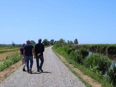 Lago di Massaciuccoli: chiuso il cantiere da 1,5 milioni: rialzati e rafforzati gli argini