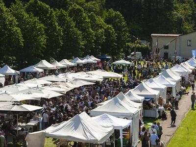 Enolia 2026: il gusto come esperienza culturale, Seravezza 9-10-11 maggio