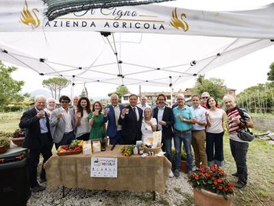 Ufficialmente riconosciuto il Distretto Rurale e del Cibo della Versilia