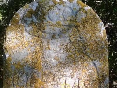 Il Gruppo Archeologico Camaiore esprime solidarietà alle persone che hanno subito danni alle auto in occasione della manifestazione a tutela delle Alpi Apuane del 7 giugno