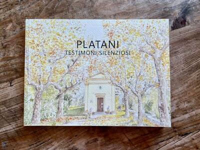 Uscito “Platani. Testimoni silenziosi”, libro curato da Angela Benincasa per Associazione Per Sant’Anna