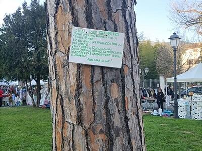 La proposta di Italia Nostra Versilia: "Un cartello su ogni albero"
