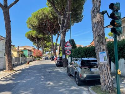 Apertura cantiere riqualificazione via Vittorio Veneto Lido di Camaiore: il commento delle associazioni ambientaliste