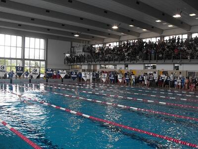 Massarosa Nuoto chiede un tavolo con Aquasport: "Pronti a collaborare"