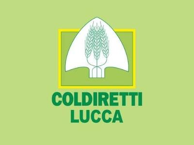 Pesca: Coldiretti Lucca, pescatori a Bruxelles per chiedere cambio rotta. Altre 10 barche marineria viareggina verso demolizione
