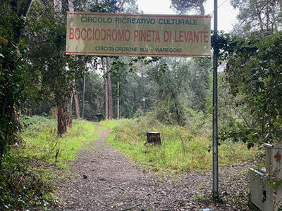 Italia Nostra Versilia: regole per le concessioni nelle pinete