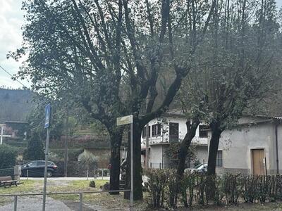 Partita la riqualificazione del Parco della Rimembranza a Valpromaro