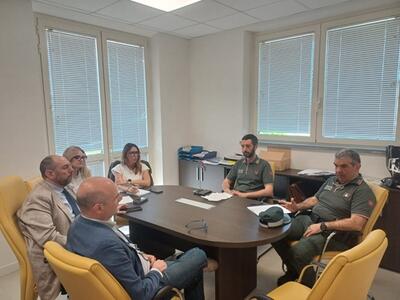Cinghiali sul territorio comunale di Forte dei Marmi: riunione operativa al Comando di Polizia Locale