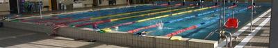 I consiglieri di opposizione Bertolaccini e Lucchesi: "Piscina comunale di Massarosa. Tra promesse, ritardi e sottovalutazioni progettuali"