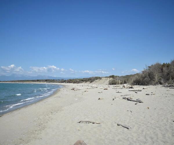 Bandiere Blu 2025: conferme per Viareggio, Forte dei Marmi, Pietrasanta e Camaiore